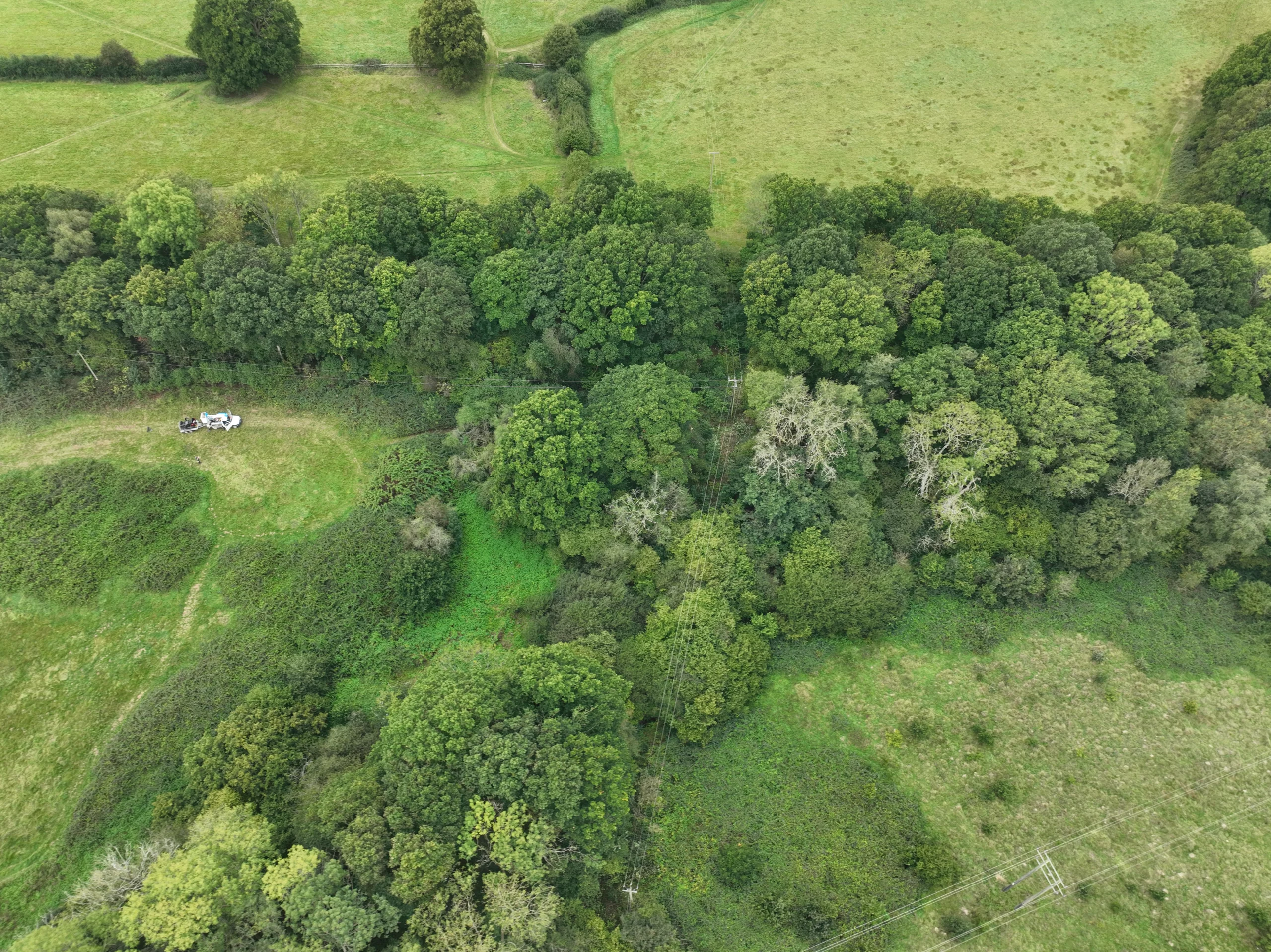 An aerial view of a lush green field.