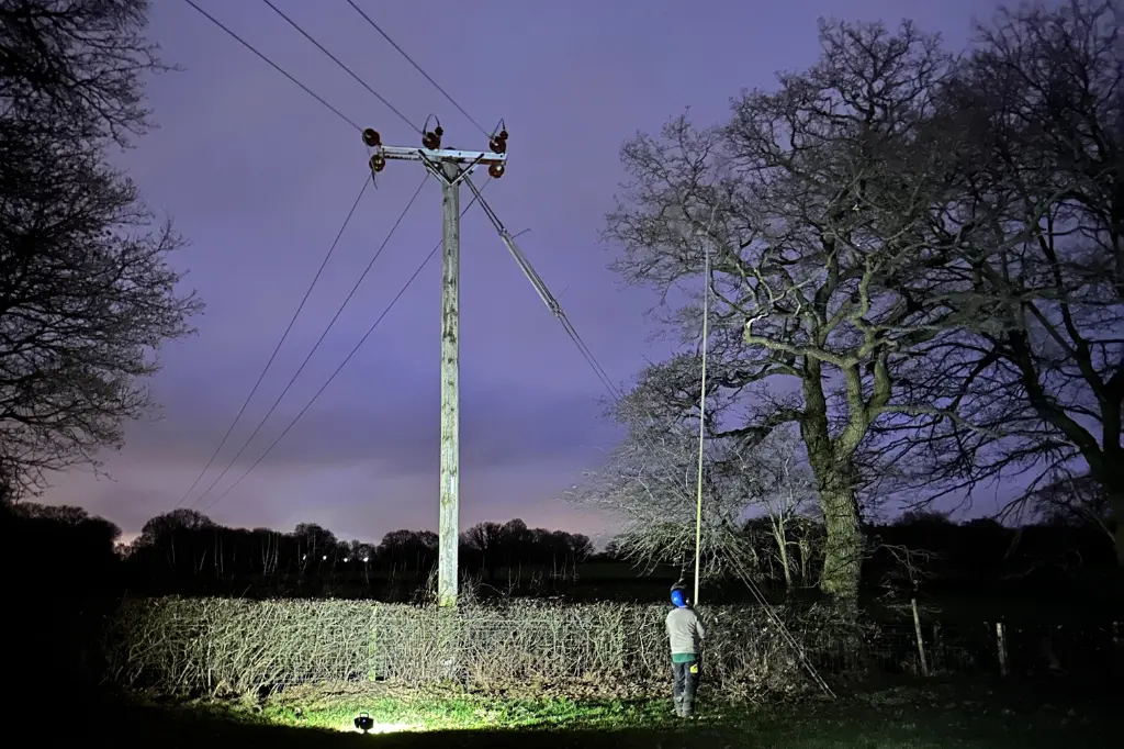 A person standing in a field next to a telephone pole.