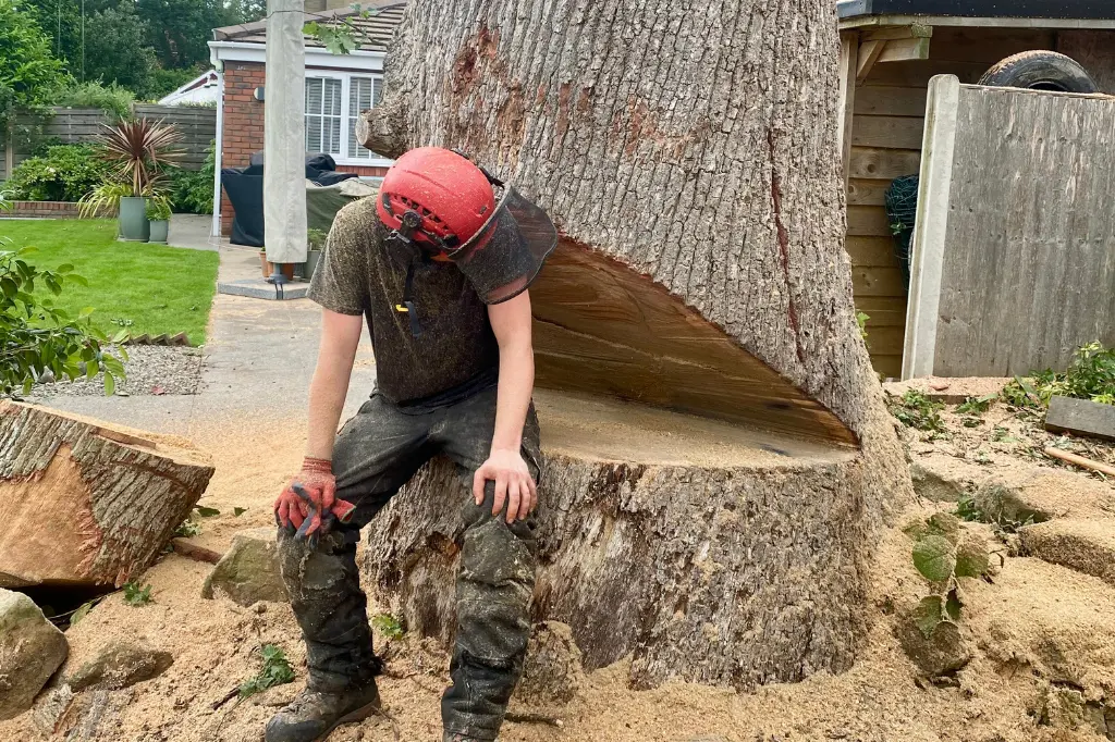 A man sitting on top of a tree stump.