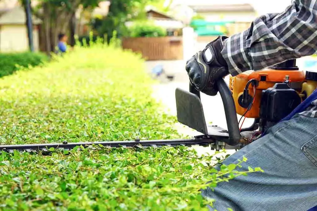 A man using a hedge trimmer to cut grass.